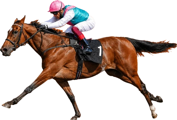 Illustrated cutout of Enable