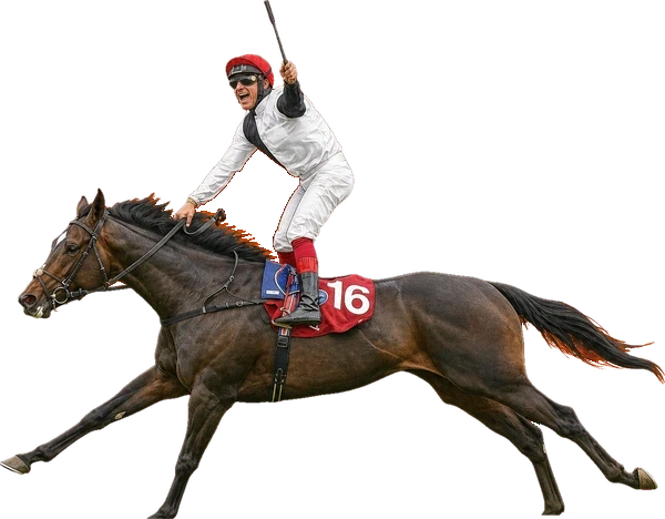 Illustrated cutout of Golden Horn