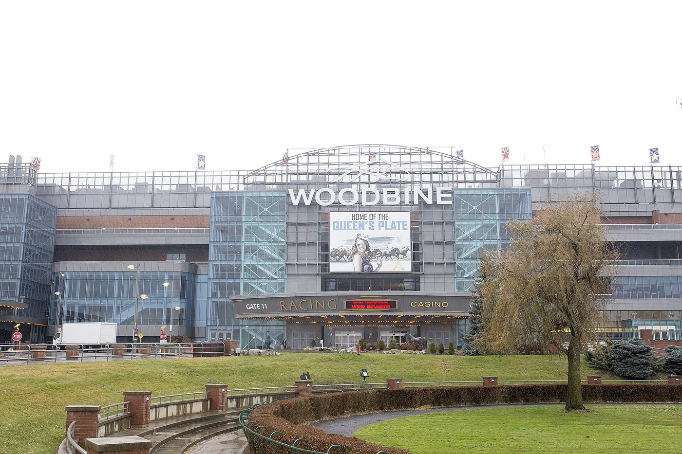 Woodbine