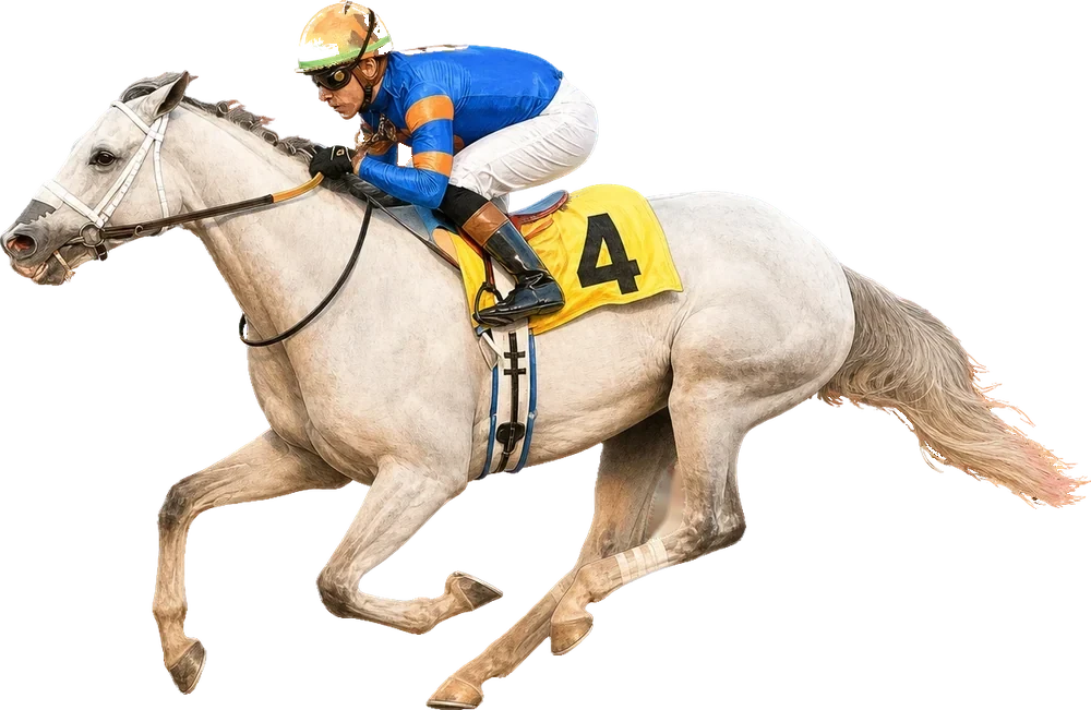 White Abarrio