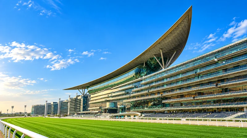 Illustrated view of Meydan racecourse