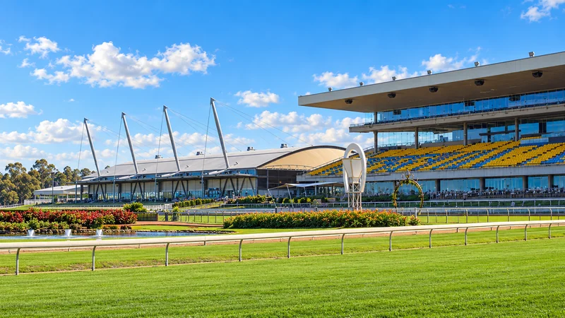 Illustrated view of Rosehill racecourse