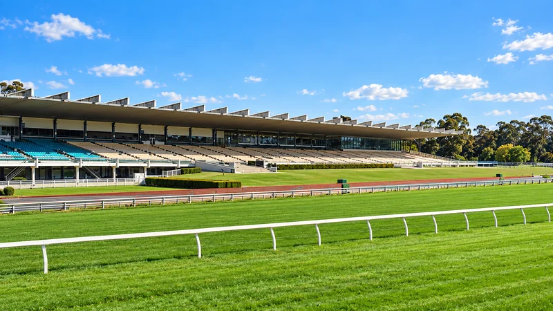 Illustrated view of Sandown Hillside racecourse