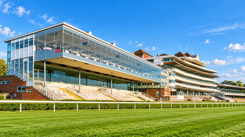 Illustrated view of Newbury racecourse