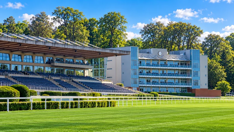 Illustrated view of Sandown Park racecourse