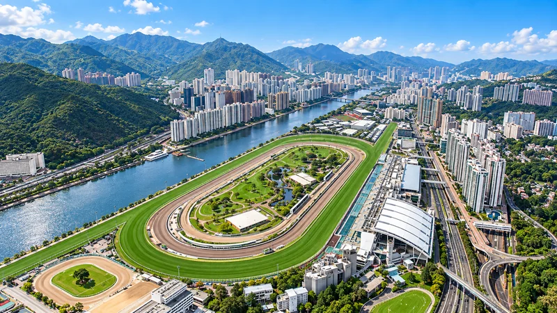 Illustrated view of Sha Tin racecourse
