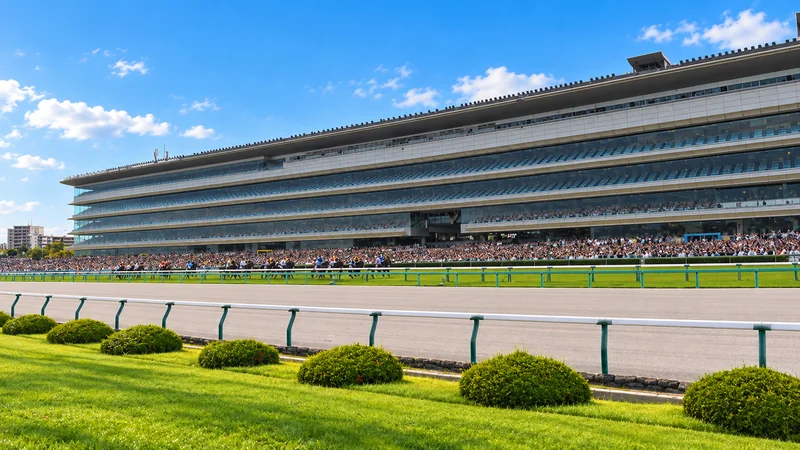 Illustrated view of Hanshin racecourse