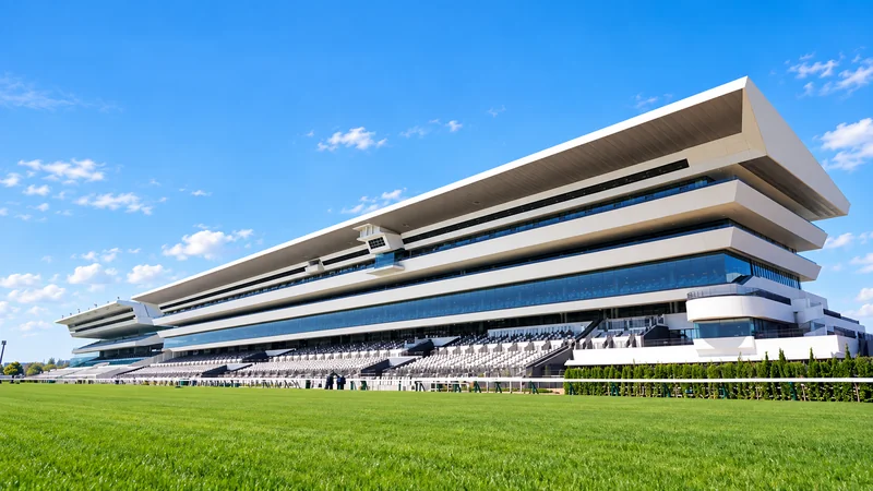 Illustrated view of Kyoto racecourse