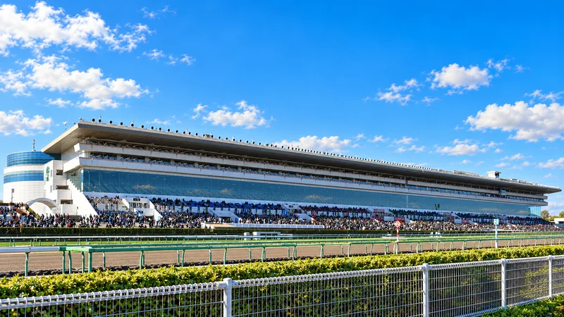 Illustrated view of Nakayama racecourse