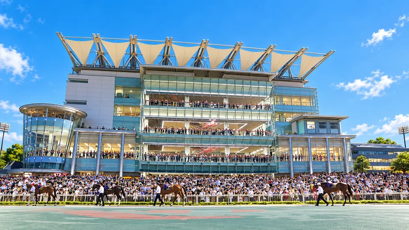 Illustrated view of Oi (Tokyo City Keiba) racecourse