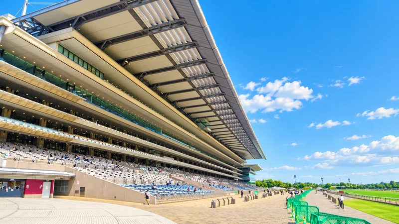 Illustrated view of Tokyo racecourse
